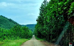 Có nhà đầu tư, vì sao dự án trăm tỷ ở Quảng Ninh không khởi động?