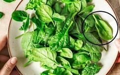 Loại rau nhìn tưởng cây dại lại là "thần dược" chống viêm, bảo vệ cơ thể