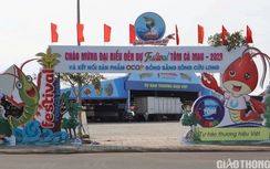 Đường phố rực rỡ trước thềm Festival tôm Cà Mau 2023