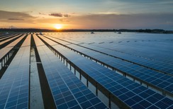 Đề xuất hạ giá mua điện nhà máy điện gió, mặt trời đang hưởng giá FIT