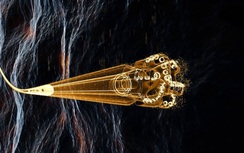 Trung Quốc tung công nghệ "săn" dầu siêu lạ: Khoan 2 giếng sâu nhất châu Á