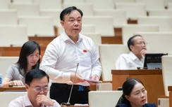 Sửa Luật Đất đai: ĐBQH lo đất rừng cũng thành dự án nhà ở thương mại