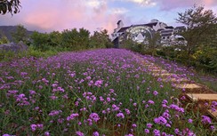 Sa Pa - Điểm đến được yêu thích hàng đầu dịp 2/9