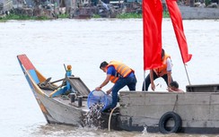 Thả hàng tấn cá giống xuống sông Hậu để tái tạo nguồn thủy sản