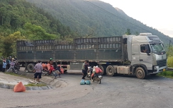 Xe container hỏng máy ngang dốc khiến QL4C ách tắc cục bộ nhiều giờ