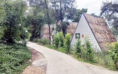 Homestay xây trên đất rừng ở Quảng Ninh: Sớm hoàn thiện hồ sơ cấp phép