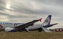 Gặp sự cố khẩn nguy, máy bay hạ cánh khẩn xuống đồng