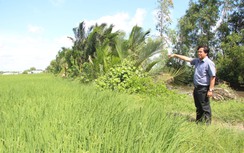 Đường Vành đai 3 TP.HCM qua Long An: Khu tái định cư chậm triển khai vì sao?