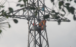 Lý do hai người đàn ông leo lên trụ điện cao thế