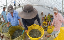Đồng bằng sông Cửu Long cần nâng cấp hạ tầng giao thông để bứt phá