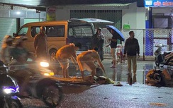 Đôi nam nữ thương vong sau cú va chạm mạnh với xe tải chở cống