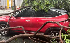 Nhà tốc mái, cây đổ đè ô tô sau trận mưa lớn ở TP.HCM