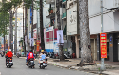 TP.HCM: 100 trụ điện, cột đèn được tháo lớp cỏ nhựa quấn quanh