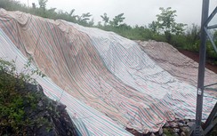 EVNNPT tăng cường ứng phó mưa lũ, sạt lở ở miền núi, trung du Bắc Bộ