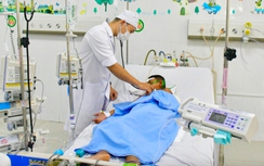 Cha mẹ xử trí ra sao khi trẻ bị ong đốt?