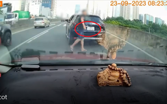 Mâu thuẫn giao thông, người đàn ông dừng xe, bật mở cốp đầy khó hiểu