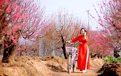 Bộ Nội vụ thống nhất nghỉ Tết Nguyên đán 2024 kéo dài 7 ngày