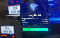 Đấu giá biển số ô tô sáng 29/9: Biển tam hoa 51K-979.99 trúng cao nhất