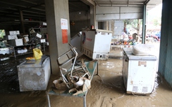 Dân vùng lũ Nghệ An trắng tay sau khi nước rút