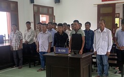 Phú Yên: 27 bị cáo lĩnh án vì phá rừng lấy đất trồng keo