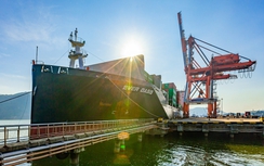 Cảng Quy Nhơn tất bật đón mã hàng đầu năm mới