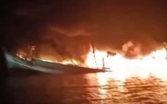 Chủ tàu cá bị ném bom xăng ở Cà Mau: Tự chặt dây cho tàu chìm để không lan sang tàu khác