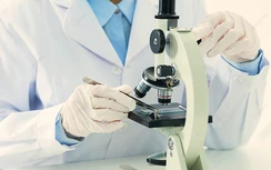 Thích ăn món tái, người đàn ông bị ấu trùng sán dây chó ký sinh ở phổi