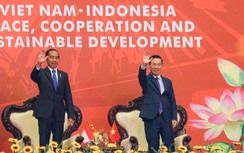 Chủ tịch nước và Tổng thống Indonesia xem trình diễn Pencak silat, võ cổ truyền