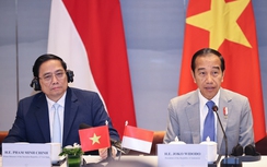 Tổng thống Indonesia muốn VinFast mở rộng đầu tư vào lĩnh vực xe điện