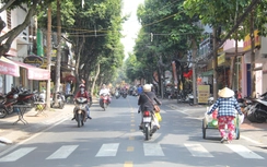 Nhiều tuyến đường ở Cần Thơ "khoác áo mới" đón tết Giáp Thìn 2024