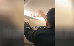 Hành khách tá hỏa phát hiện rắn bò lổm ngổm trên ngăn hành lý máy bay