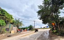 Bộ GTVT ủng hộ đầu tư đường nối cao tốc Pháp Vân - Cầu Giẽ với đường Hồ Chí Minh