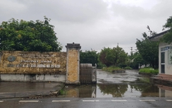 Thêm một phó giám đốc trung tâm đăng kiểm ở Ninh Bình bị khởi tố