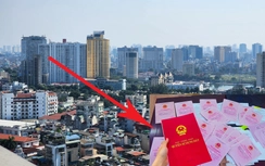 Luật Đất đai sửa đổi:  Điều kiện nào để đất không giấy tờ được cấp sổ đỏ?