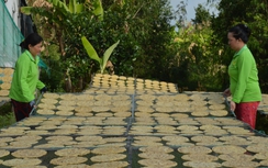 Làng nghề ép chuối khô nổi tiếng Cà Mau tất bật vào vụ Tết