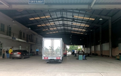 Trung tâm đăng kiểm vắng bất ngờ, dân thảnh thơi đưa xe đi kiểm định