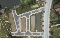 Hà Nội rầm rộ đấu giá đất dịp cận Tết