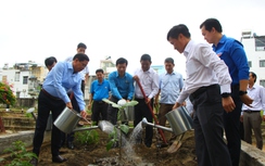 Phong trào “Đường tàu - Đường hoa” kết nối “Sắc xanh một dải xứ Trầm”