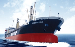 Loạt doanh nghiệp vận tải biển công bố sụt giảm lợi nhuận
