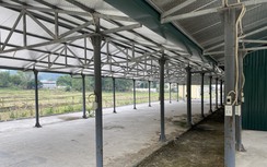 Lạ lùng chợ tiền tỷ chỉ có một tiểu thương