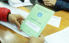 Hanoimilk, Anh ngữ APAX chậm đóng BHXH hàng chục tỷ đồng