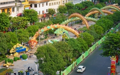 Tròn mắt ngắm đôi rồng hơn 100m uốn lượn ở đường hoa Tết Nguyễn Huệ