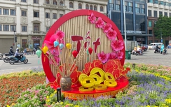 Công viên, vòng xoay ở TP.HCM ngập tràn sắc hoa đón tết Giáp Thìn