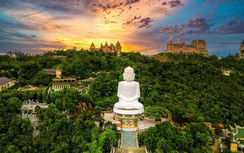 Hoa đào chuông báo xuân ngợp ngời trên đỉnh Bà Nà