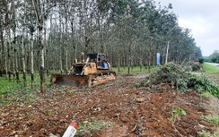 Hai khu tái định cư cao tốc ở Quảng Trị khi nào xong?