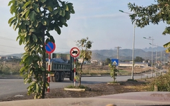 Cao Bằng: Xe chở đất lậu lộng hành, phớt lờ biển cấm