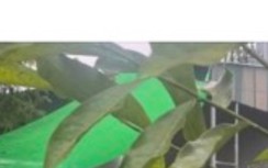 Quảng Ninh: Người phụ nữ tử vong với nhiều vết thương trong phòng ngủ