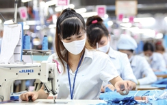 Nhiều kỳ vọng về thị trường xuất khẩu năm 2024