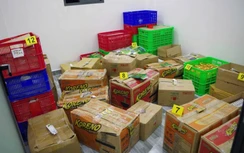 Long An: Bắt nhóm đối tượng sản xuất hơn 21.000 chai dầu gió giả