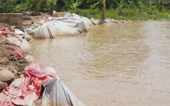 Đồng Tháp: Công bố tình huống khẩn cấp sạt lở bờ sông Tiền